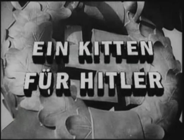Ein Kitten für Hitler